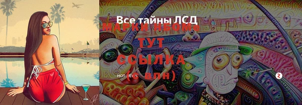 ГАЛЛЮЦИНОГЕННЫЕ ГРИБЫ Снежногорск