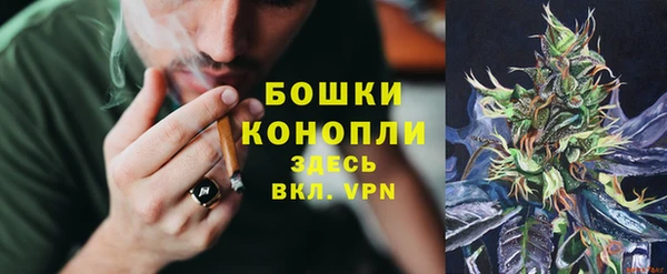 шишки Балабаново